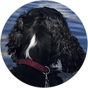 Apples 01 profile picture